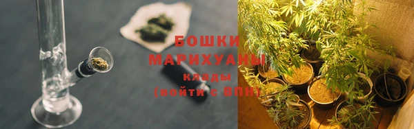стаф Гусь-Хрустальный