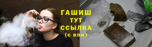 стаф Гусь-Хрустальный