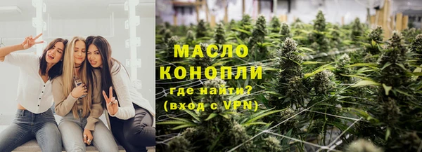 стаф Гусь-Хрустальный