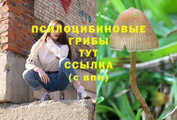 mdpv Гусиноозёрск