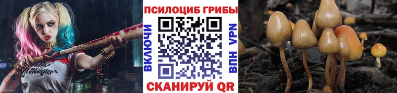 Псилоцибиновые грибы Psilocybe  Ясный 